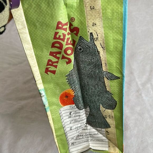 Trader Joe’s Plastic Reusable Shopping Tote Bag 6 Gallon Florida - Picture 6 of 14